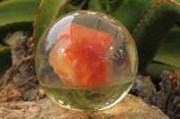 Polished Carnelian Agate in PVC Resin Paperweight Spheres - sold per item - From Madagascar - Toprock Gemstones and Minerals