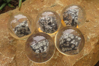 Polished Snowflake Obsidian pieces in PVC Resin Paperweight Spheres - sold per item - From Mexico - Toprock Gemstones and Minerals
