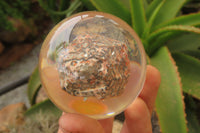 Polished Snakeskin Rhyolite Jasper cobbed piece in PVC Resin Paperweight Sphere - sold per item - From Australia - Toprock Gemstones and Minerals