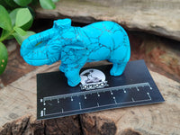 Polished Blue Howlite Elephant Carving - sold per item - From Zimbabwe - Toprock Gemstones and Minerals
