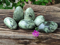 Polished Leopard Stone Palm Stones x 6 From Zimbabwe - Toprock Gemstones and Minerals
