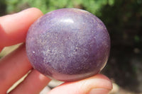 Polished Lepidolite with Pink Rubellite Palm Stones x 24 From Ambatondrazaka, Madagascar - Toprock Gemstones and Minerals