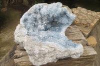 Natural Celestite Geode Specimen x 1 From Sakoany, Madagascar - Toprock Gemstones and Minerals