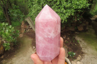 Polished Rose Quartz Points x 3 From Madagascar - Toprock Gemstones and Minerals