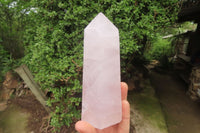Polished Rose Quartz Points x 3 From Madagascar - Toprock Gemstones and Minerals