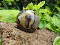 Polished Septerye Spheres x 6 From Mahajanga, Madagascar - Toprock Gemstones and Minerals