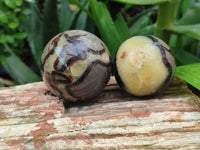 Polished Septerye Spheres x 6 From Mahajanga, Madagascar - Toprock Gemstones and Minerals