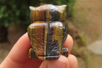Polished Mini Banded Tiger Iron Jasper Owl Carvings - sold per item - From Australia - Toprock Gemstones and Minerals