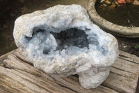 Natural Celestite Geode Specimen x 1 From Sakoany, Madagascar - Toprock Gemstones and Minerals