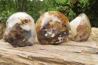 Polished On One Side Dendritic Agate Standing Free Forms x 3 From Madagascar - Toprock Gemstones and Minerals