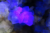 Natural Cubic Fluorite Specimen x 1 From Namibia - Toprock Gemstones and Minerals