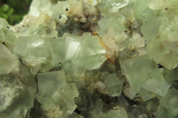 Natural Cubic Fluorite Specimen x 1 From Namibia - Toprock Gemstones and Minerals