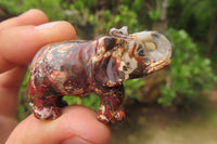 Polished Small Brecciated Jasper Elephant Carving - sold per item - From South Africa - Toprock Gemstones and Minerals