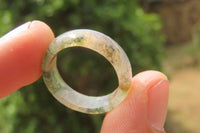 Polished Solid Indian Agate Gemstone Rings - Sold Per Item - From India - Toprock Gemstones and Minerals