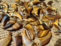 Polished Golden Tigers Eye Lions Claw Pendant with Gold Cap & Bail - Sold Per Item - From South Africa - Toprock Gemstones and Minerals