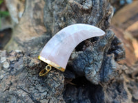 Polished Rose Quartz Lions Claw Pendant with Gold Cap & Bail - Sold Per Item - From Madagascar - Toprock Gemstones and Minerals