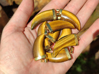 Polished Large Golden Tigers Eye Lions Claw Pendant with Gold Cap & Bail - Sold Per Item - From South Africa - Toprock Gemstones and Minerals