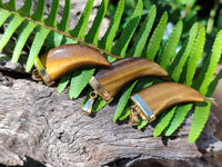 Polished Large Golden Tigers Eye Lions Claw Pendant with Gold Cap & Bail - Sold Per Item - From South Africa - Toprock Gemstones and Minerals