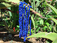 Polished Lapis Lazuli Beaded Tumble Chip Necklace - Sold Per Item - From Afghanistan - Toprock Gemstones and Minerals
