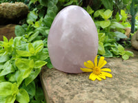 Polished Rose Quartz Standing Free Forms x 3 From Madagascar - Toprock Gemstones and Minerals