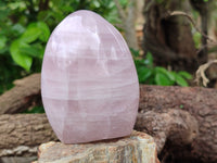 Polished Rose Quartz Standing Free Forms x 3 From Madagascar - Toprock Gemstones and Minerals