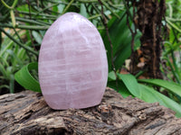 Polished Rose Quartz Standing Free Forms x 3 From Madagascar - Toprock Gemstones and Minerals
