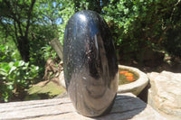 Polished Black Tourmaline Standing Free Form x 1 From Madagascar - Toprock Gemstones and Minerals