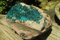 Natural Dioptase Cabinet Specimen x 1 From Brazzaville, Congo - Toprock Gemstones and Minerals