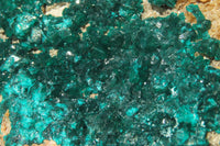 Natural Dioptase Cabinet Specimen x 1 From Brazzaville, Congo - Toprock Gemstones and Minerals