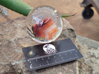 Polished Carnelian Agate in PVC Resin Spheres - sold per item - From Madagascar - Toprock Gemstones and Minerals
