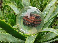 Polished Tiger Iron Jasper in PVC Resin Spheres - sold per item - From Australia - Toprock Gemstones and Minerals