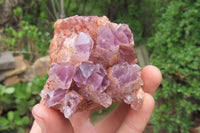 Natural Sugar Amethyst Quartz Clusters x 2 from Solwezi, Zambia - Toprock Gemstones and Minerals