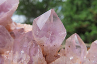 Natural Sugar Amethyst Quartz Clusters x 2 from Solwezi, Zambia - Toprock Gemstones and Minerals