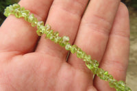 Polished Peridot Beaded Tumble Chip Necklace - Sold Per Item - From Zambia - Toprock Gemstones and Minerals