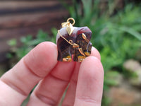 Polished Banded Tiger Iron Jasper Elephant Pendant with 9ct Gold Bail and Trim - Sold Per Item - From Australia - Toprock Gemstones and Minerals