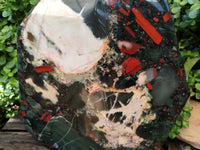 Polished Extra Large A Grade Bloodstone Display Piece x 1 From Swaziland - Toprock Gemstones and Minerals