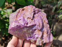 Natural Stichtite Specimens x 3 From Barberton, South Africa - Toprock Gemstones and Minerals