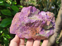 Natural Stichtite Specimens x 3 From Barberton, South Africa - Toprock Gemstones and Minerals