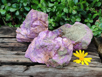 Natural Stichtite Specimens x 3 From Barberton, South Africa - Toprock Gemstones and Minerals