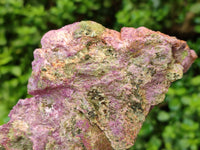 Natural Stichtite Specimens x 3 From Barberton, South Africa - Toprock Gemstones and Minerals