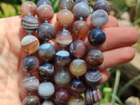 Polished Botswana Agate Beaded Necklace - Sold Per Item- From Botswana - Toprock Gemstones and Minerals