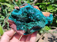 Natural Dioptase Cabinet Specimen x 1 From Congo - Toprock Gemstones and Minerals