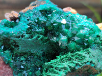 Natural Dioptase Cabinet Specimen x 1 From Congo - Toprock Gemstones and Minerals