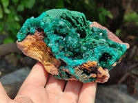 Natural Dioptase Cabinet Specimen x 1 From Congo - Toprock Gemstones and Minerals