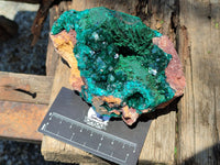 Natural Dioptase Cabinet Specimen x 1 From Congo - Toprock Gemstones and Minerals
