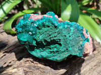 Natural Dioptase Cabinet Specimen x 1 From Congo - Toprock Gemstones and Minerals