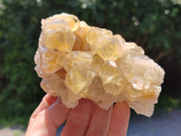Natural Limonite Quartz Clusters x 5 From Solwezi, Zambia - Toprock Gemstones and Minerals