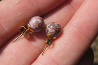 Polished Pair of Snakeskin Rhyolite Jasper Stud Earrings - sold per Pair - From Australia - Toprock Gemstones and Minerals