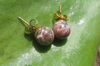 Polished Pair of Snakeskin Rhyolite Jasper Stud Earrings - sold per Pair - From Australia - Toprock Gemstones and Minerals
