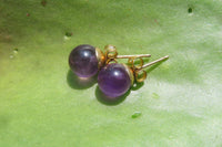 Polished Pair of Gemmy Amethyst Stud Earrings - sold per Pair - From Zambia - Toprock Gemstones and Minerals